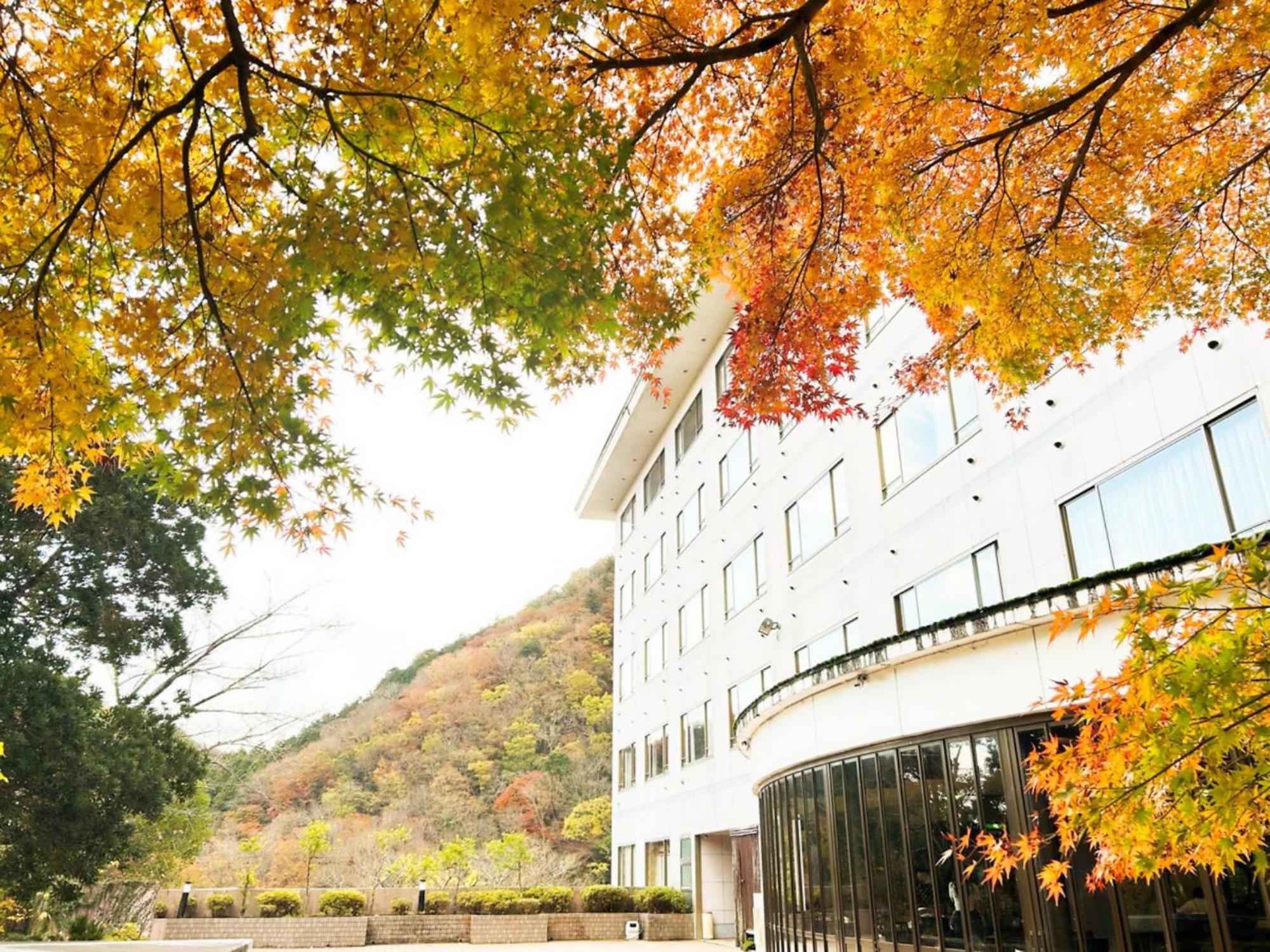Shuzenji Onsen Hotel Takitei Izu  Esterno foto
