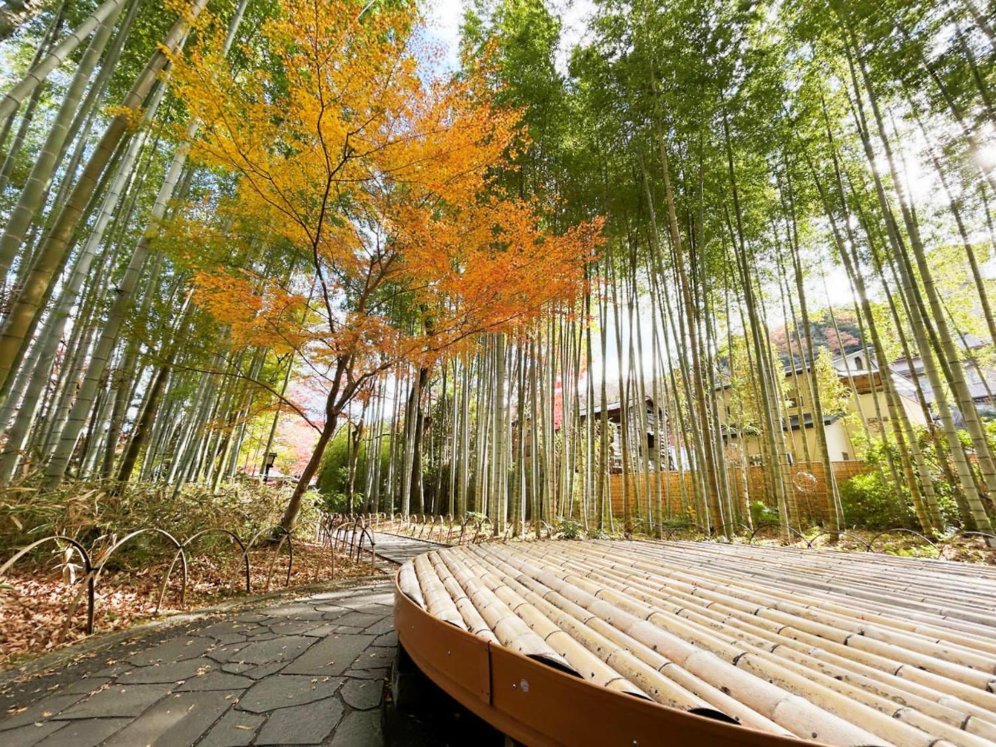 Shuzenji Onsen Hotel Takitei Izu  Esterno foto