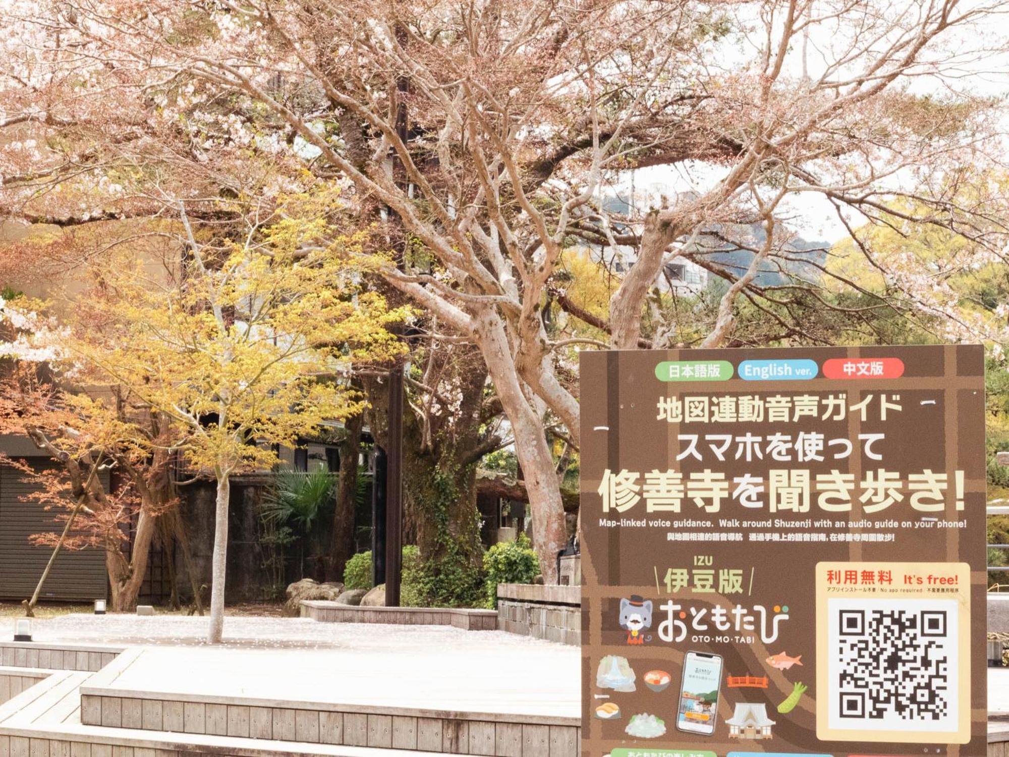 Shuzenji Onsen Hotel Takitei Izu  Esterno foto